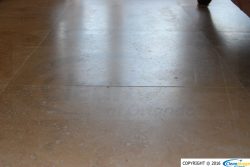 (c)CleanImageofOrlando_407-298-3132