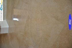 ????????????????????????????????????