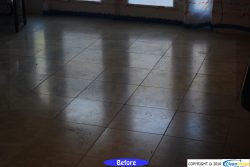 (c)CleanImageofOrlando_407-298-3132